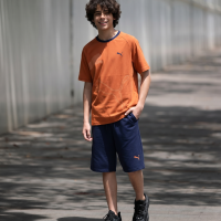 Brick